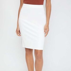 Ann Taylor pencil skirt